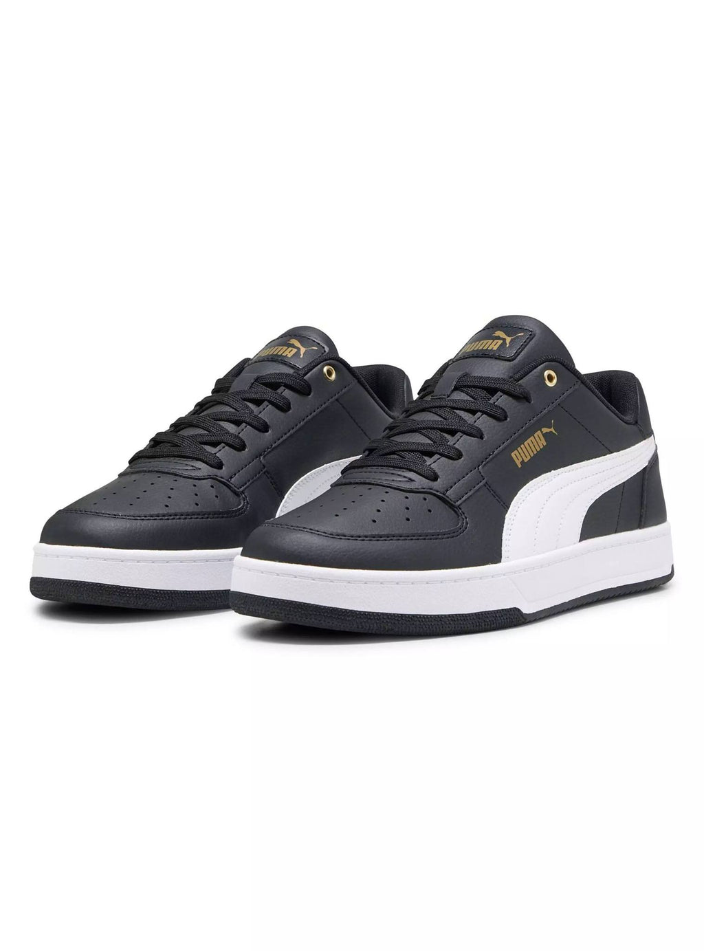 Puma caven / N