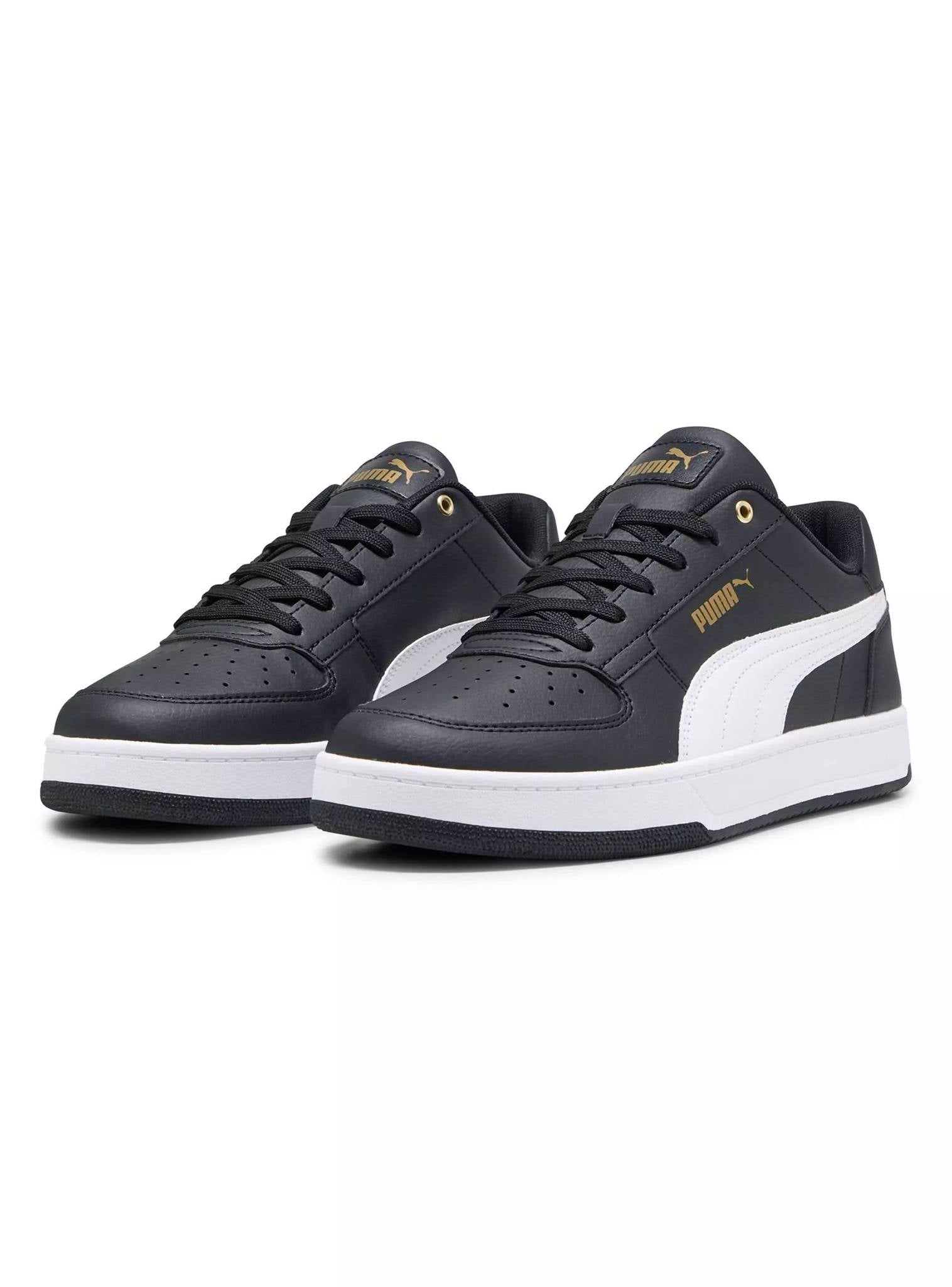 Puma caven / N