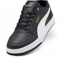 Puma caven / N
