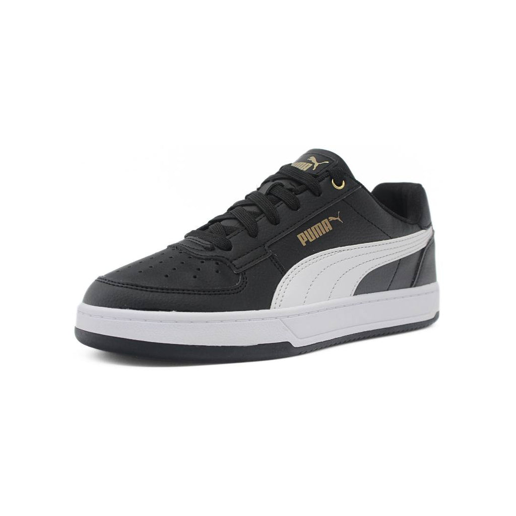 Puma caven / N