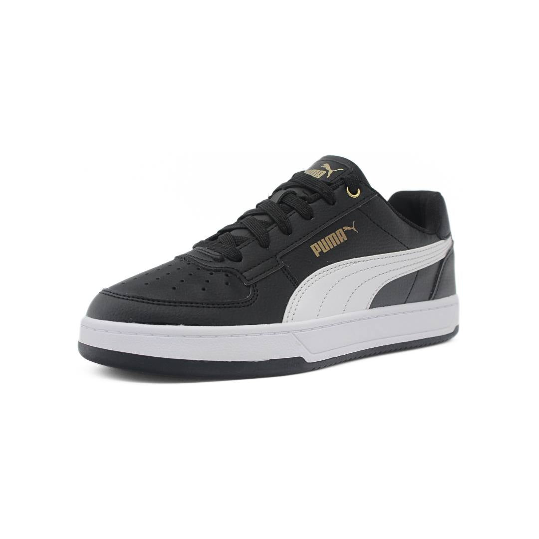 Puma caven / N